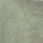 Lignes de Nazca - Colibri