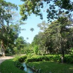Rio - Jardim Botanico