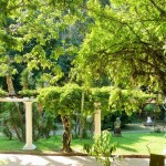 Rio - Jardim Botanico