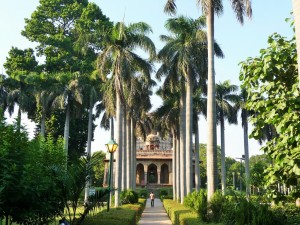 New Delhi - Lodi Garden