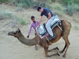 Safari à chameaux