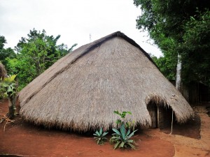 Village Phnong - Maison traditionnelle