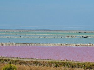 Lac Grassmere - Exploitation de sel