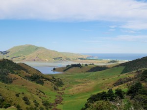 Dunedin - Péninsule d'Otago