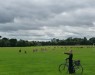 phoenix-park-dublin