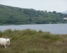 connemara