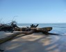 plage-nyoni