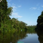 Parc de Tortuguero