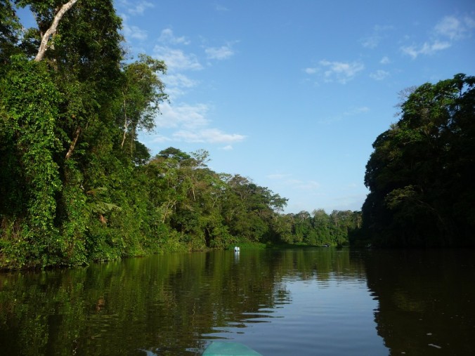 Parc de Tortuguero