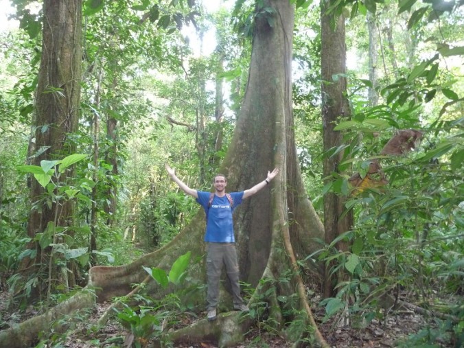 Parc de Tortuguero