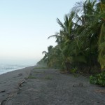 Plage Caraïbes