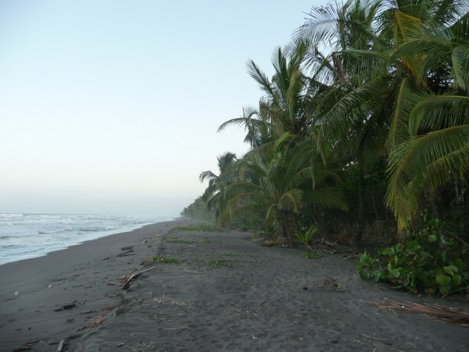Plage Caraïbes